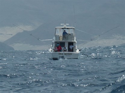 team hengeldiscount Sea Quest marlin